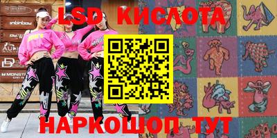 индика Бердск