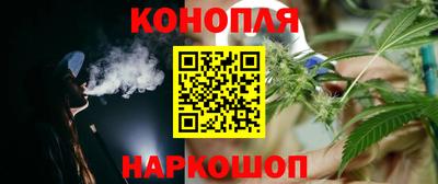 индика Бердск