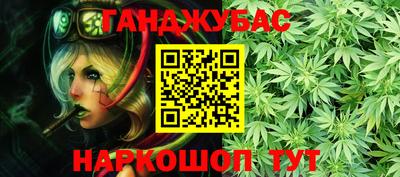 индика Бердск
