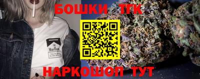 индика Бердск