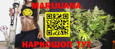 индика Бердск