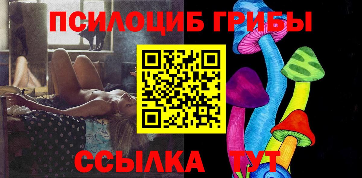 Астрахань  Галлюциногенные грибы Psilocybine cubensis  Псилоцибиновые грибы мицелий  Вход с VPN 