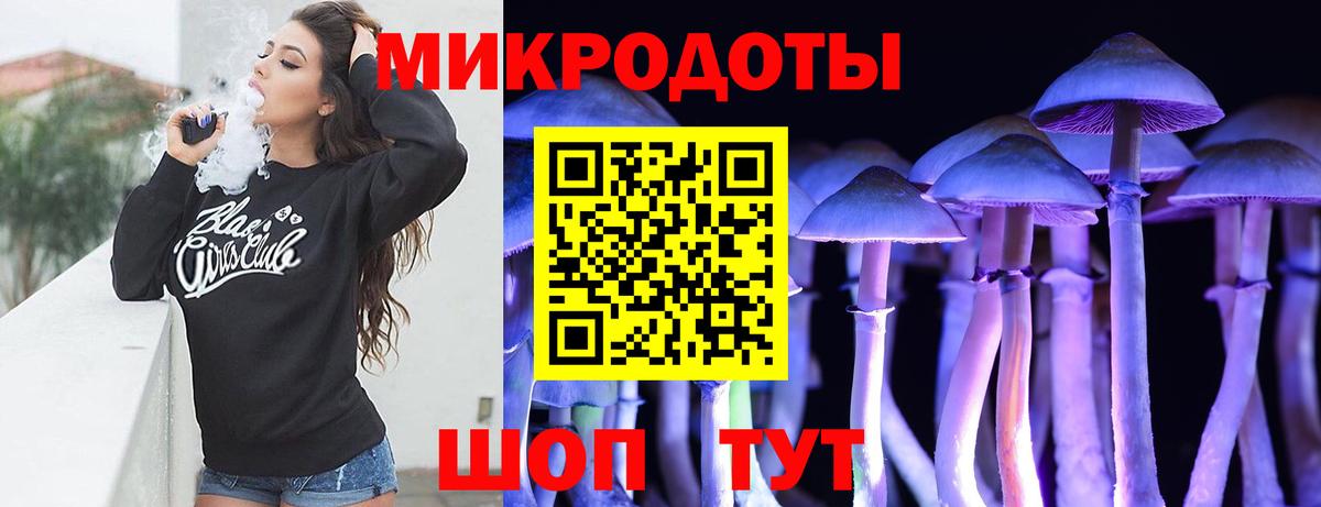Псилоцибиновые грибы прущие грибы Астрахань